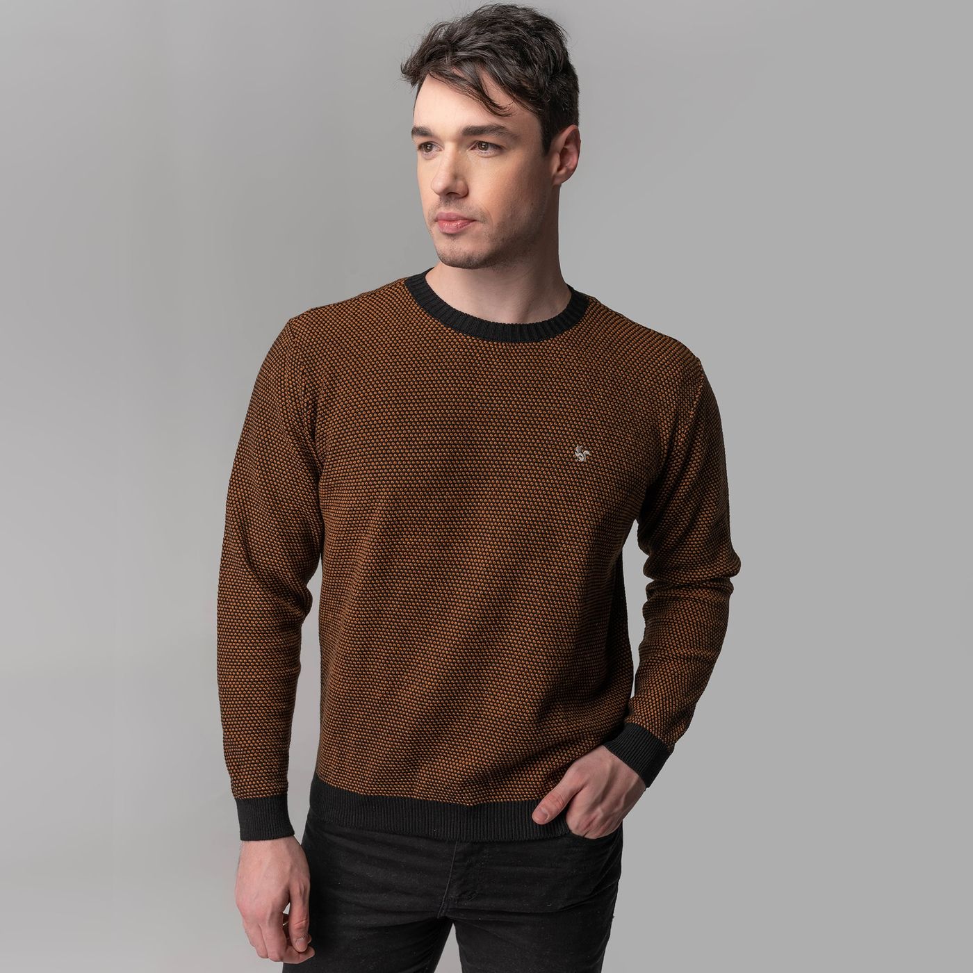 SUÉTER MASCULINO EM TRICÔ CAMBRIDGE GOLA REDONDA